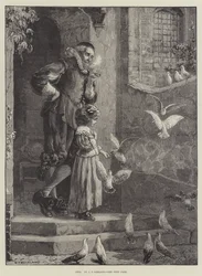 Animaux de compagnie